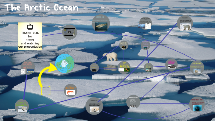 the arctic ocean by Christine Horn on Prezi