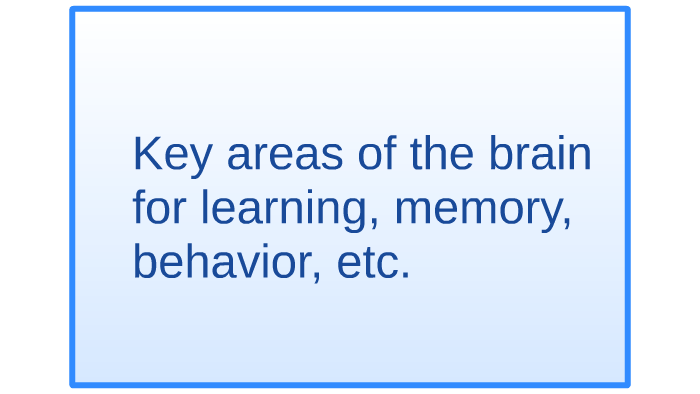 Brain and memory and learning by Jennie Lane on Prezi