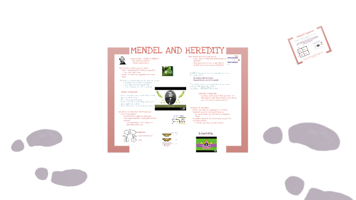 MENDEL AND HEREDITY by Allison Davis