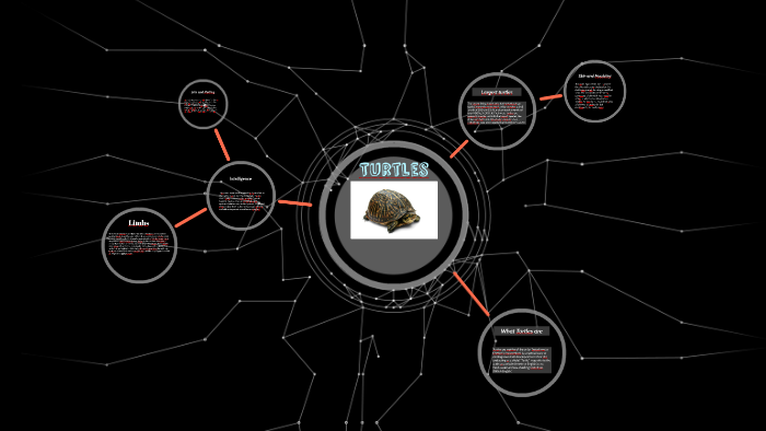 TURTLES by Zakary N on Prezi