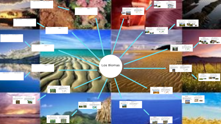 los biomas by Dafne Villela on Prezi