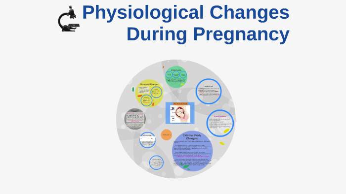 Physiological Changes During Pregnancy By Grace Knutson On Prezi