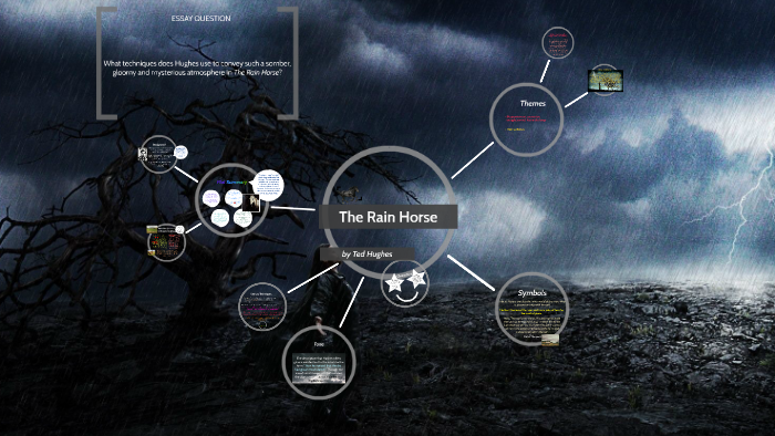 the rain horse analysis