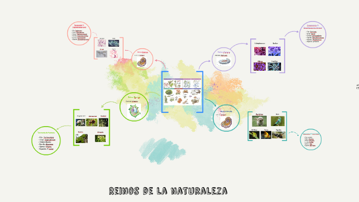Reinos de la naturaleza by Florencia Hwang on Prezi