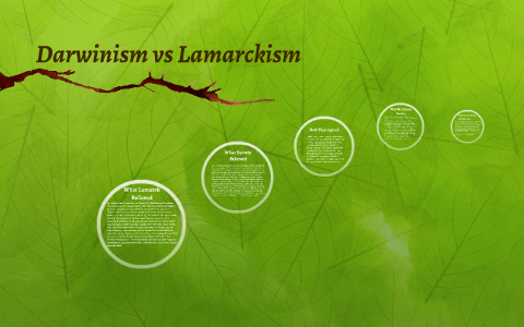 Darwinism Vs Lamarckism By Ed Crosby On Prezi