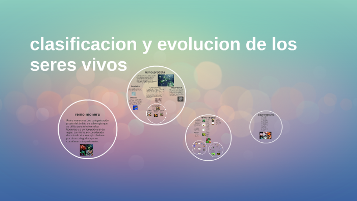 clasificacion y evolucion de los seres vivos by laura ciro vergara