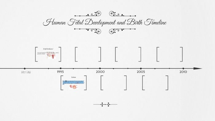 Human Fetal Development and Birth Timeline by Tresa Garcia on Prezi