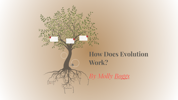 How Does Evolution Work? by Molly Bo on Prezi