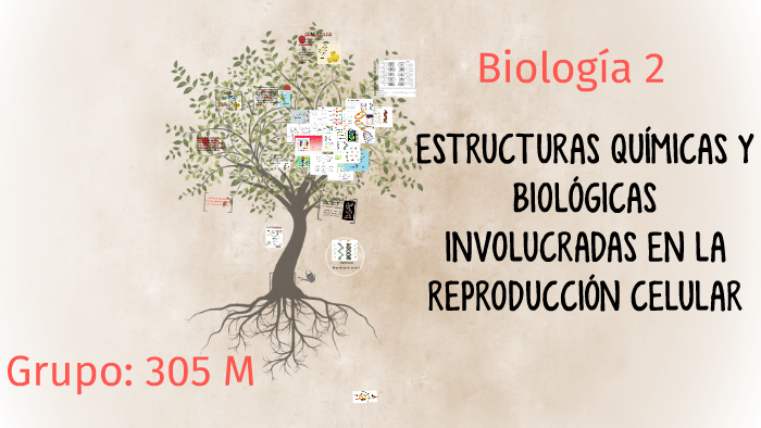 ESTRUCTURAS QUÍMICAS Y BIOLÓGICAS INVOLUCRADAS EN LA REPRODU by Paola ...