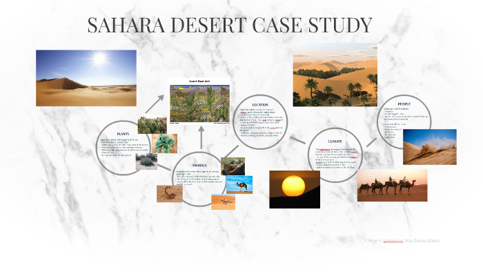 gcse geography case study sahara desert