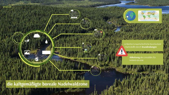 die kaltgemäßigte boreale Nadelwaldzone by Felix Walter die kaltgemäßigte boreale Nadelwaldzone by Felix Walter
