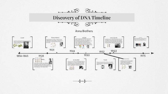 Discovery Of DNA Timeline By Anna B 