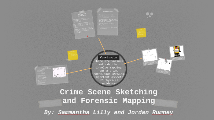 Crime Scene Analysis: Making Crime Pay - Crime Capsule