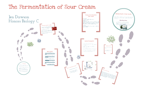 The Fermentation Of Sour Cream By Jen Dawson