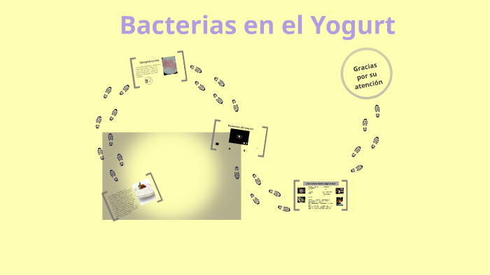 Bacterias En El Yogur By Rafael Hernandez On Prezi