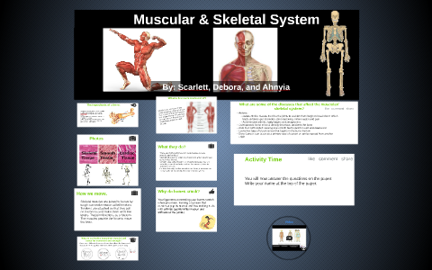 The Musclar System by Debora Perez