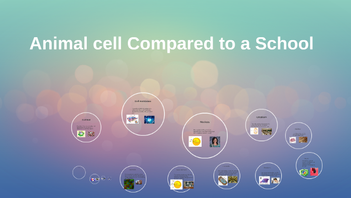 Animal cell Compared to a School by ian tucker on Prezi