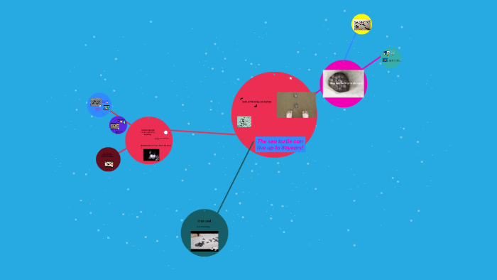 The sea turtle can live up to 80years! by xiao qi on Prezi