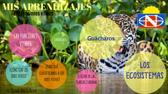 CIENCIAS 3°2021 by DIANA ROJAS GUTIERREZ on Prezi