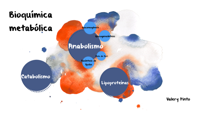 Bioquímica Metabólica By Valery Pinto On Prezi