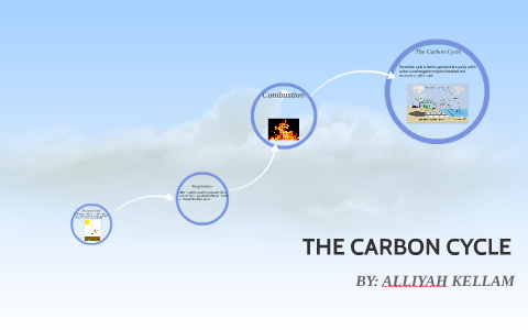 THE CARBON CYCLE by alliyah kellam on Prezi
