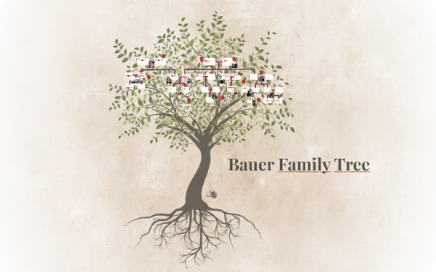 Bauer Family Tree by Georgia Bauer