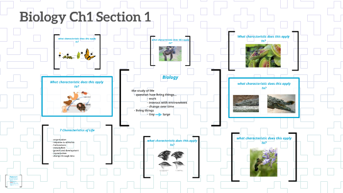 Biology by Jasmine Torrez on Prezi