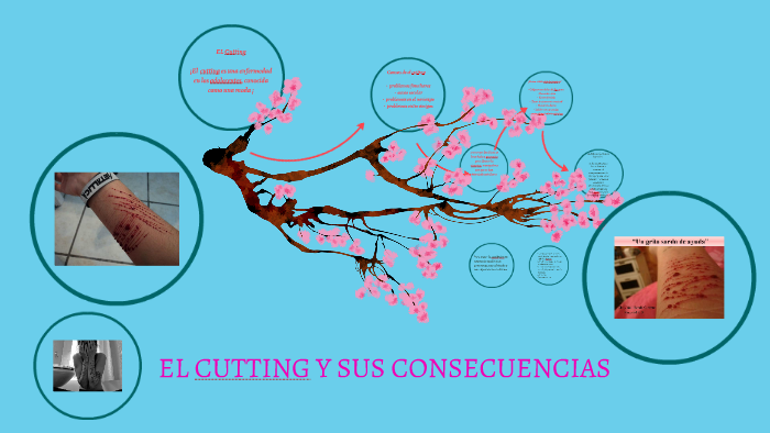 EL Cutting y sus causas by paulina cossio on Prezi