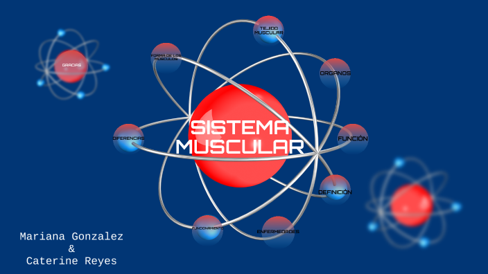 Sistema musculatorio by Mariana Gonzalez on Prezi