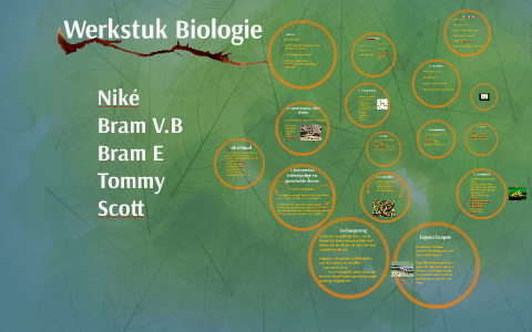 profielwerkstuk biologie experiment