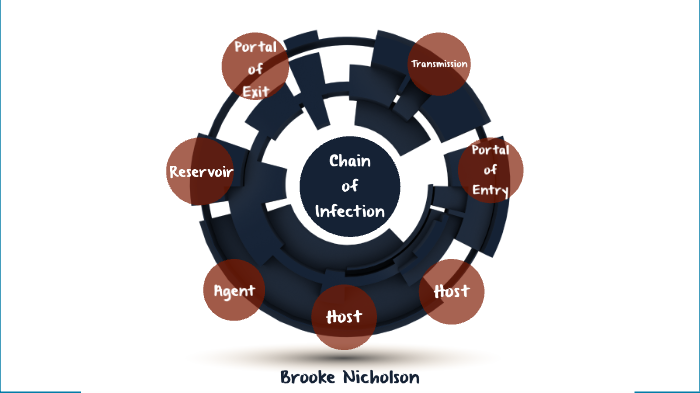 Chain of Infection by Brooke Nicholson on Prezi