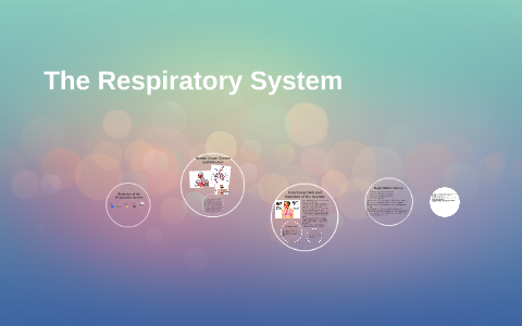 The Respiratory System by Victoria Hubbard