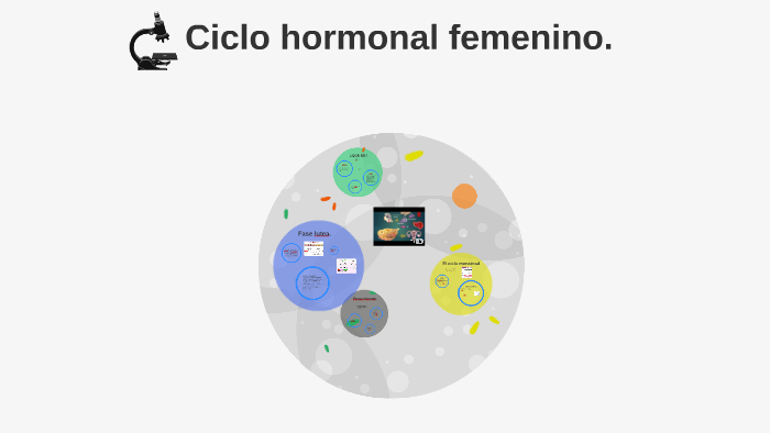 Ciclo Hormonal Femenino By Jeronimo Ap On Prezi 2357