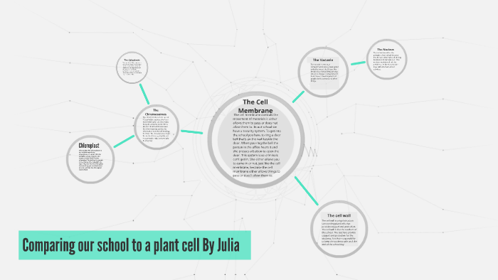 Comparing our school to a plant cell by Julia Tolles on Prezi