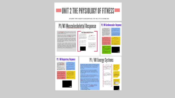 Assignment 1 Acute Responses to Exercise by Miss Watson on Prezi