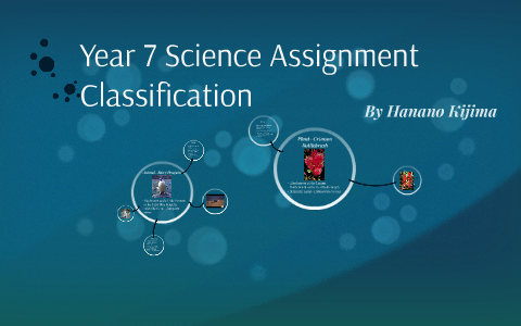 year 7 classification assignment