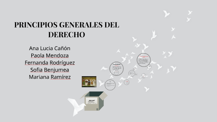 PRINCIPIOS GENERALES DEL DERECHO by Mariana Ramirez on Prezi