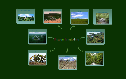 Biomas Brasileiros by Lucinei Junior on Prezi