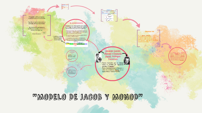 METODO JACOB Y MONOD by Noelina Madarieta