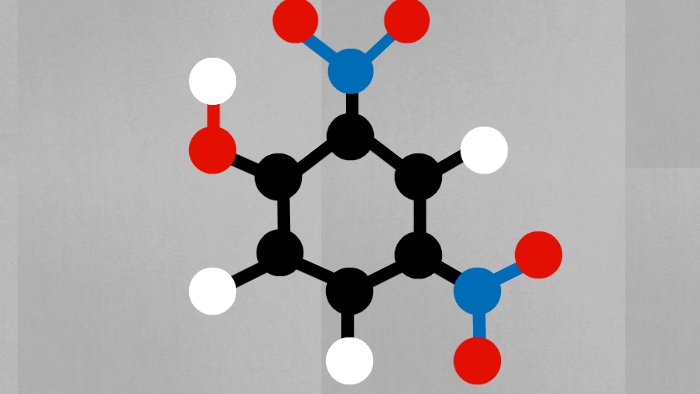 24 Dinitrophenol By Ryan Russell