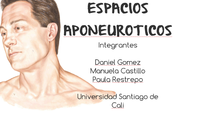 Espacios Aponeuroticos De Cabeza Y Cuello Pdf prezi.com