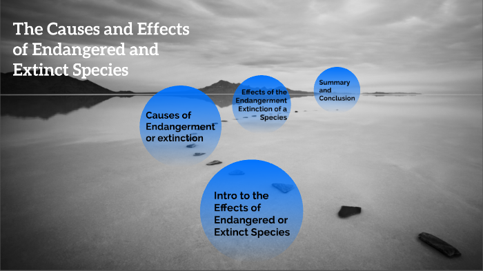 Effects of the Endangerment or Extinction of Animals by nathan thalathoty