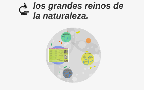 los grandes reinos de la naturaleza. by otoniel ruiz on Prezi