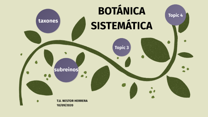 Botánica Sistemática By Nestor Herrera On Prezi 0366