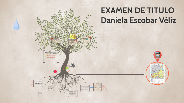 EXAMEN DANIELA by ana e on Prezi