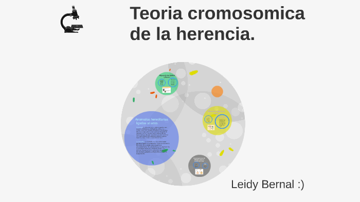 Teoria Cromosomica De La Herencia By Leidy Bernal On Prezi