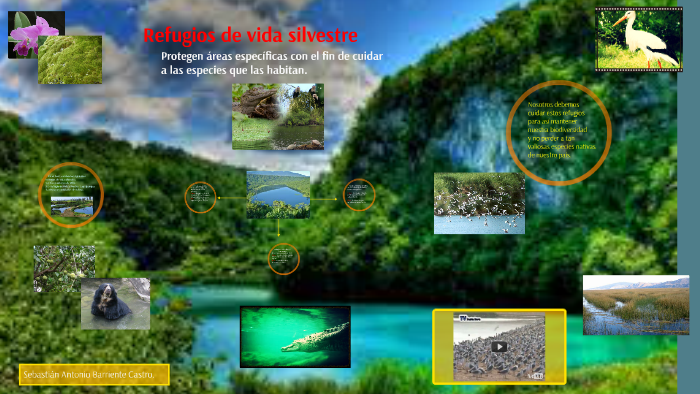 Refugios de vida silvestre by Sebastián Antonio Barriente Castro on Prezi