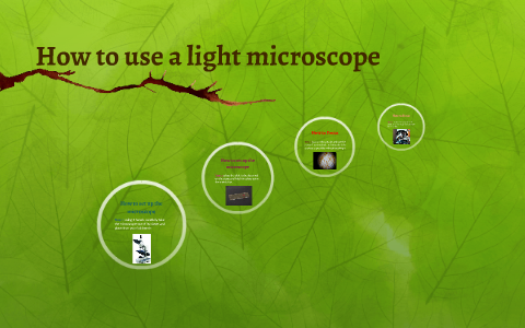 How to use a light microscope by Diana Koulouthros on Prezi