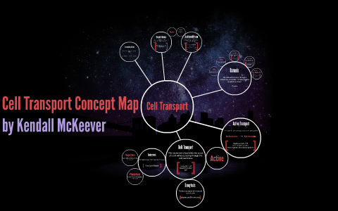 Cell Transport Concept Map By Kendall McKeever On Prezi   Qpeds6y6wbqkspudx7c44kg4xl6jc3sachvcdoaizecfr3dnitcq 3 0 