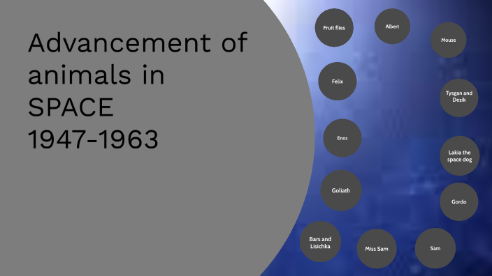 Evolution of animals in space by Matthew Beachel on Prezi